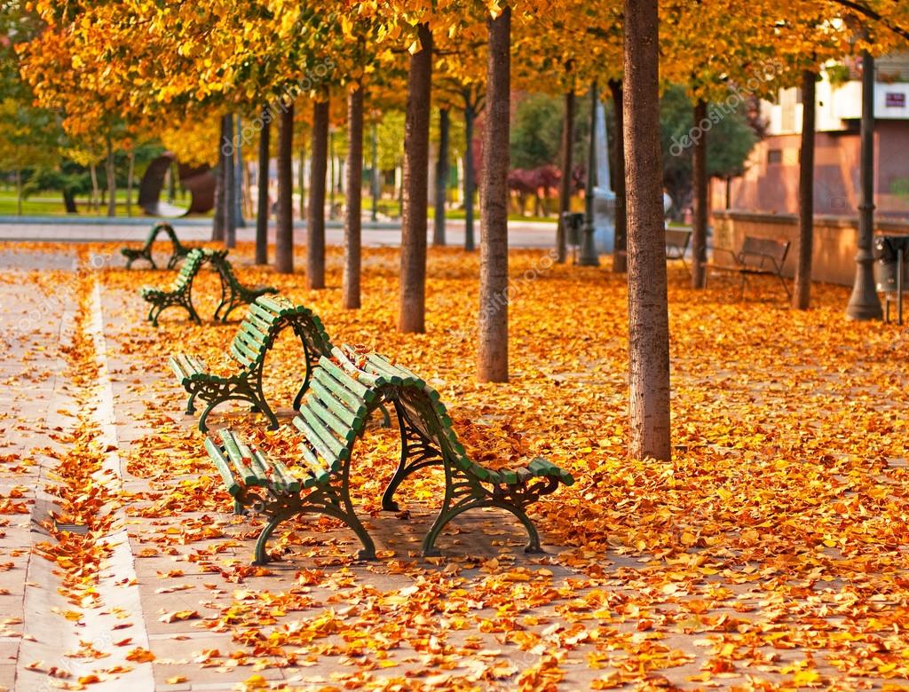 depositphotos 56415479 stock photo park in autumn