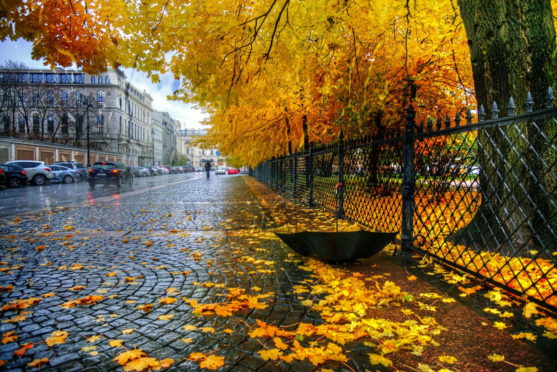 sankt peterburg ekaterininskii park osen dozhd