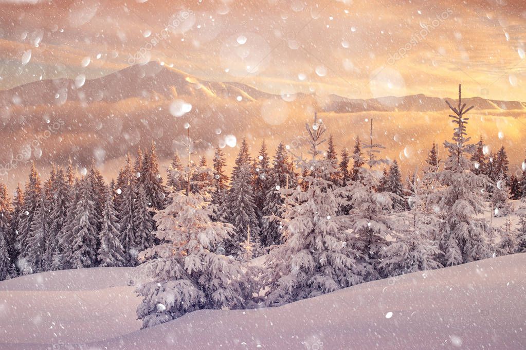 depositphotos 230417308 stock photo dramatic wintry scene with snowy