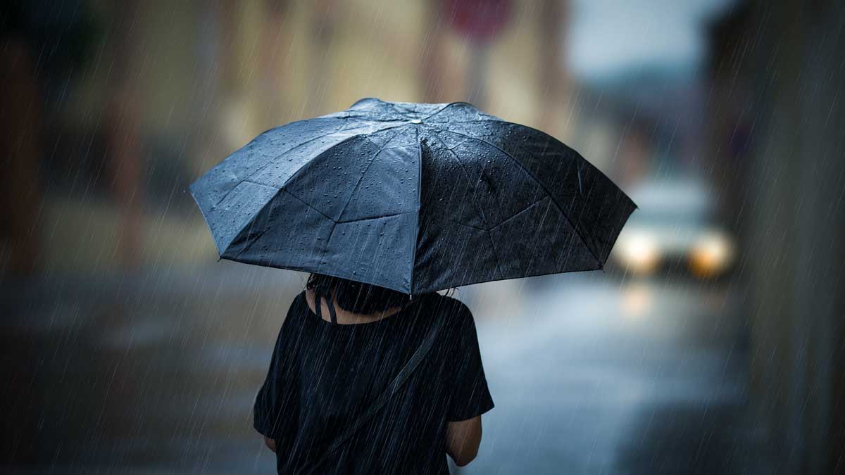 girl with an umbrella devushka c zontikom dozhd