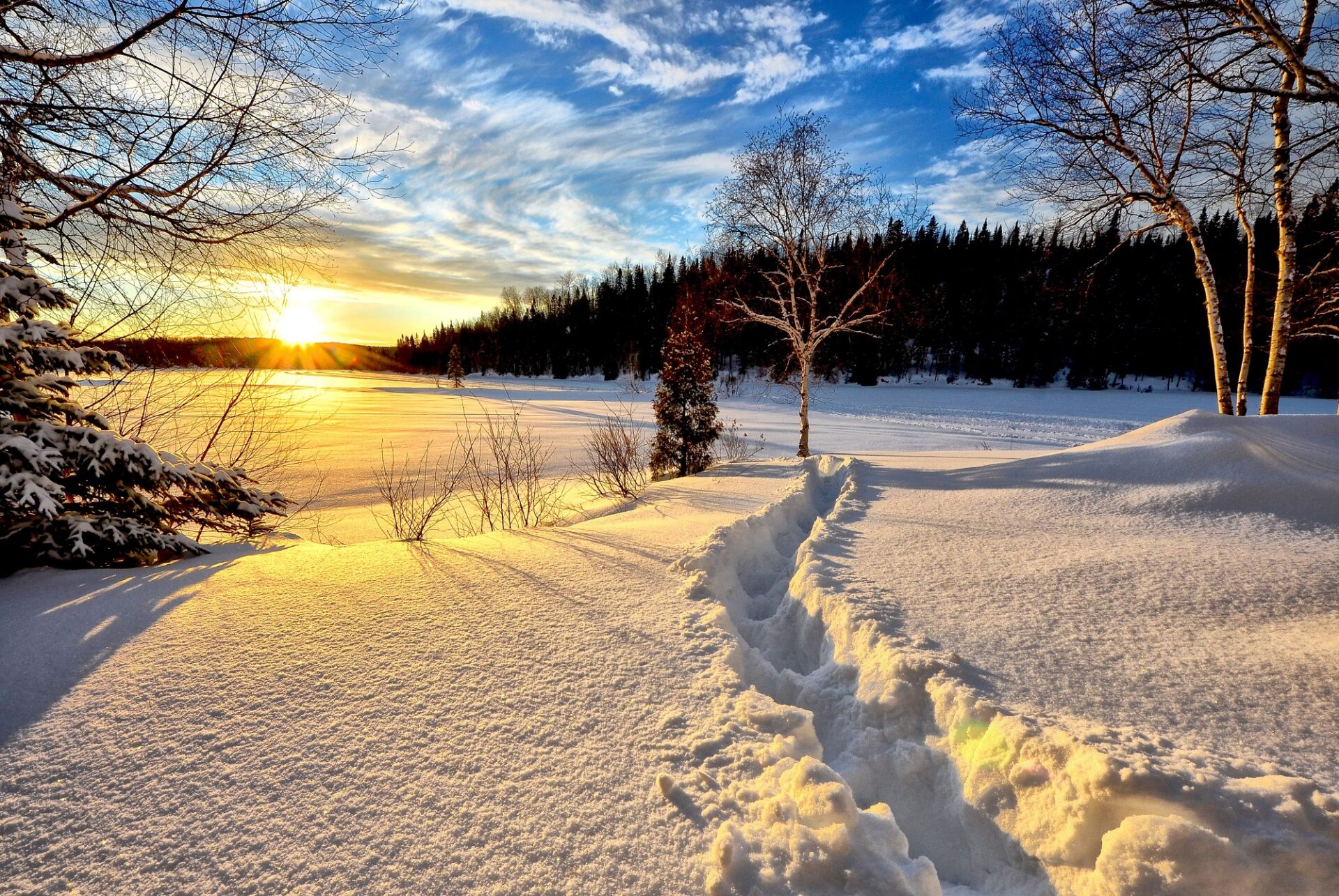 landscape tree nature wilderness snow cold winter sunrise sunset white sunlight morning lake frost dawn dusk ice evening reflection autumn weather season winter landscape trees woody plant 906937 1