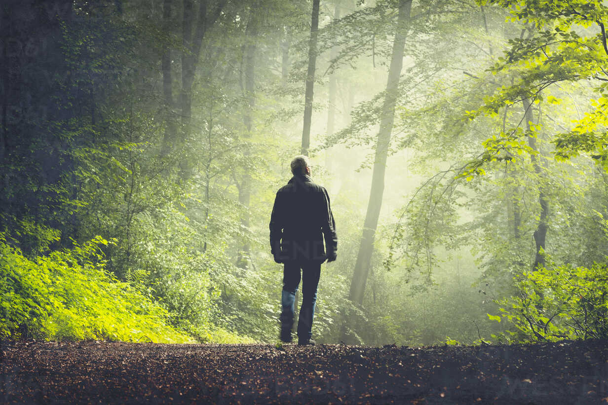 man walking on forest track in morning light DWIF000757