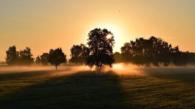 800x450.orig 2